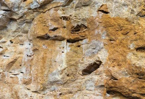 The structure of the rock surface in the section, quarrying in the natural en Stock Photos