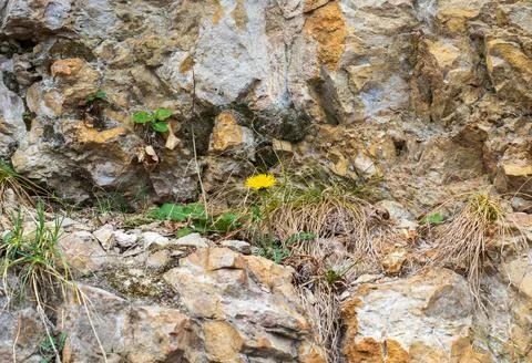 The structure of the rock surface in the section, quarrying in the natural en Stock Photos