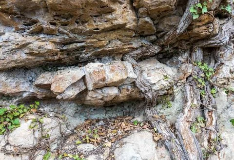 The structure of the rock surface in the section, quarrying in the natural en Stock Photos