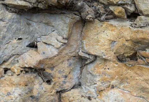 The structure of the rock surface in the section, quarrying in the natural en Foto stock