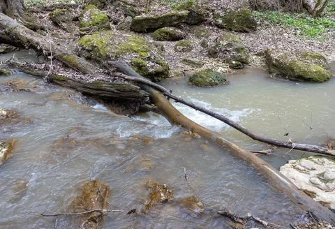 The structure of the rock surface in the section, quarrying in the natural en Stock Photos