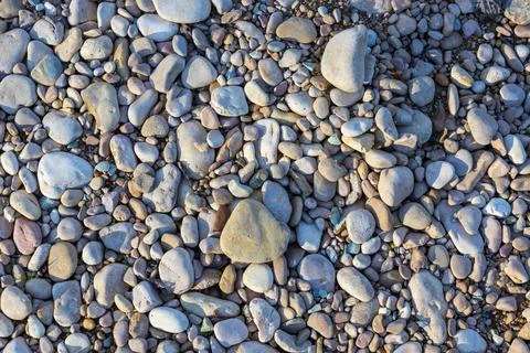 The structure of the rocky bottom in the shallow part of the river flowing in Stock Photos