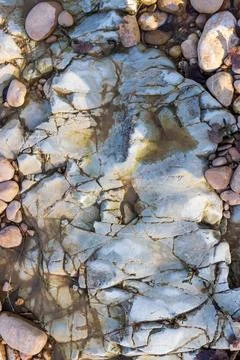 The structure of the rocky bottom in the shallow part of the river flowing in Stock Photos
