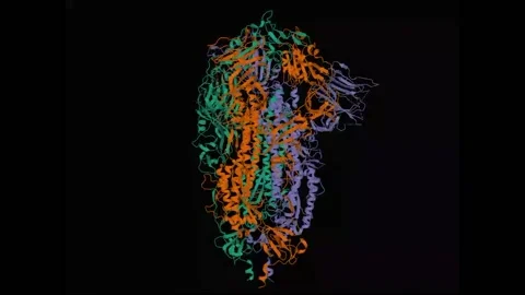 Structure of the SARS-CoV-2 spike glycoprotein Stock Footage 135655341