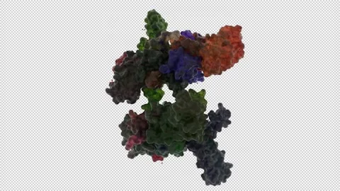 Structure of SARS-CoV super complex of non-structural proteins: the hexadecamer 스톡 동영상 157047262