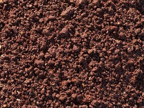 Structure of the slightly moist red clay soil Stock Photos