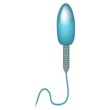 The structure of the sperm. Infographics. Vector illustration on isolated 스톡 일러스트