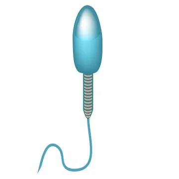 The structure of the sperm. Infographics. Vector illustration on isolated Illustrazione stock