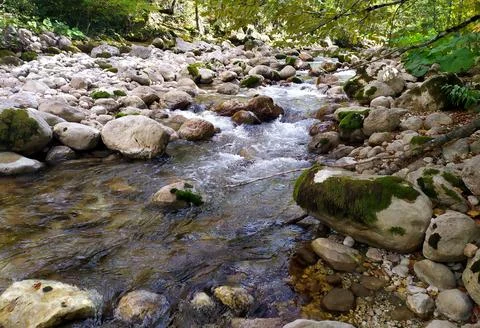 The structure of the stone bottom of the shallow river , the drawings on the Stock Photos