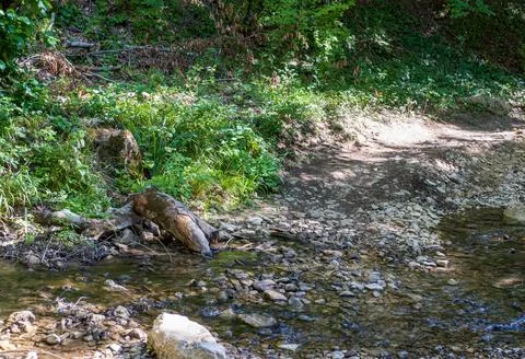 The structure of the stone bottom of the shallow river , the drawings on the Stock Photos