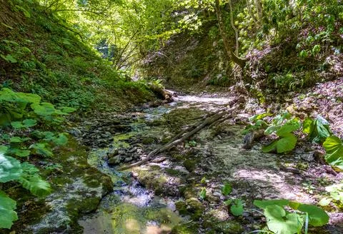The structure of the stone bottom of the shallow river , the drawings on the Stock Photos