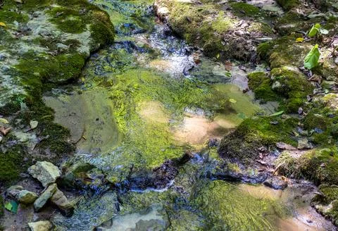 The structure of the stone bottom of the shallow river , the drawings on the Stock Photos