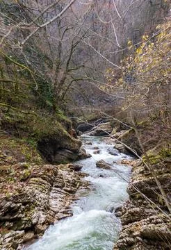 The structure of the stone bottom of a shallow river on a sunny day, a variet Stock Photos