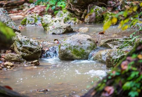 The structure of the stone bottom of a shallow river on a sunny day, a variet Stock Photos
