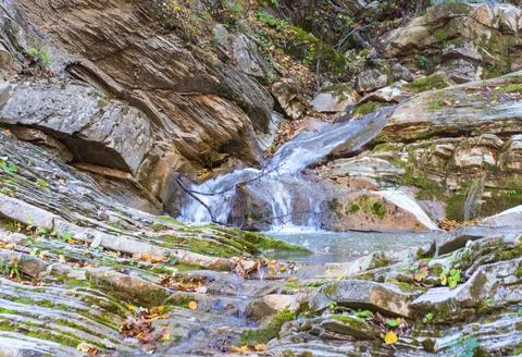 The structure of the stone bottom of a shallow river on a sunny day, a variet Stock Photos