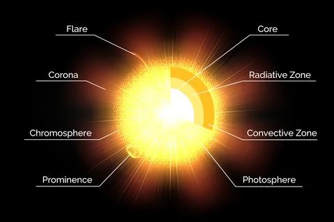 The structure of the Sun Stock Illustration