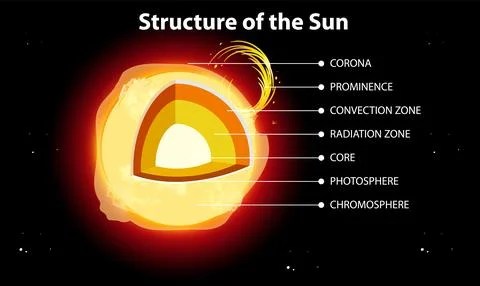 The Structure of the Sun Stock Illustration