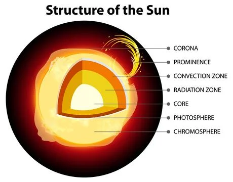 The Structure of the Sun Stock Illustration