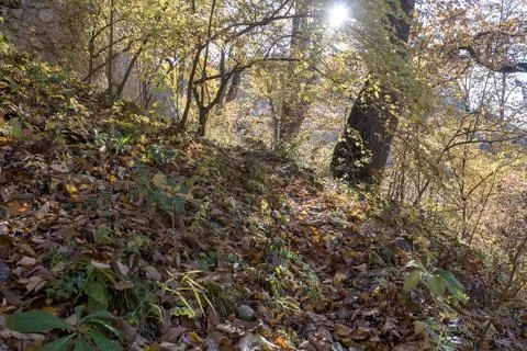 The structure of the surface of natural stone in the canyon of mountain rocks Stock Photos
