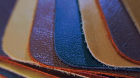 Structure, texture and surface pattern of samples of skin in different colors Stock Footage 82723051