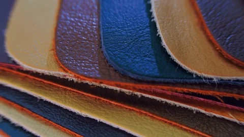 Structure, texture and surface pattern of samples of skin in different colors Stock Footage 82723111