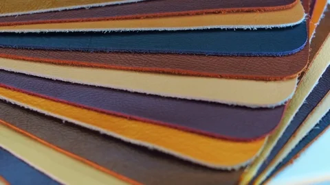 Structure, texture and surface pattern of rotation samples of skin Stock Footage 82723516