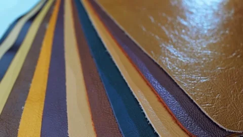 Structure, texture and surface pattern of rotation samples of skin Stock Footage 82723526