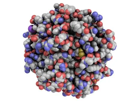 Structure of thrombin blood-clotting enzyme Stock Illustration