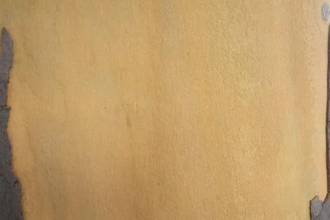 The structure of the tree bark is sycamore. Stock Photos