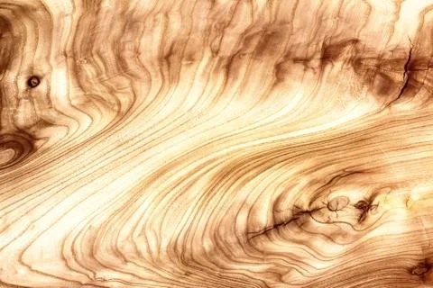 The structure of the tree closeup Stock Photos