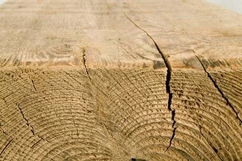 Structure of a tree Stock Photos