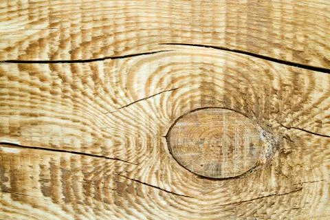 Structure of a tree Stock Photos