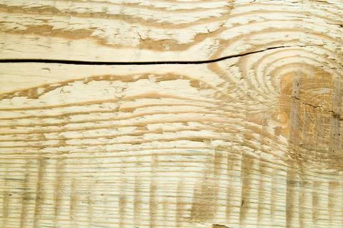 Structure of a tree Stock Photos