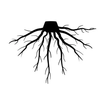 Structure tree root cartoon vector illustration Stock Illustration