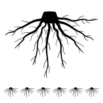 Structure tree root cartoon vector graphic Stock Illustration