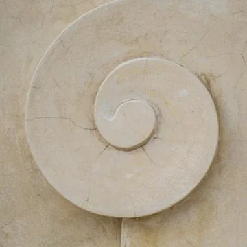 Structure of tropical decorative plaster, shell pattern Stock Photos