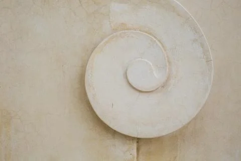 Structure of tropical decorative plaster, shell pattern Foto stock