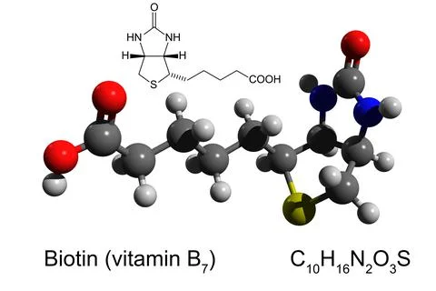 vitamin b7 structure