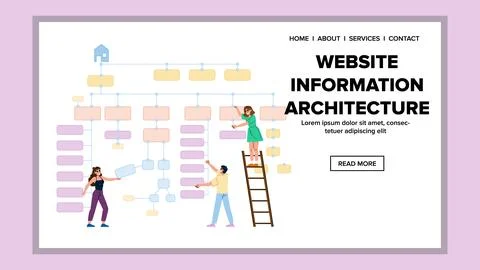 Structure website information architecture vector Stock Illustration