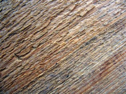 Structure of wood board Stock Photos