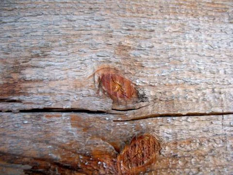 Structure of wood board Stock Photos