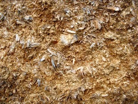 Structure of wood board Stock Photos