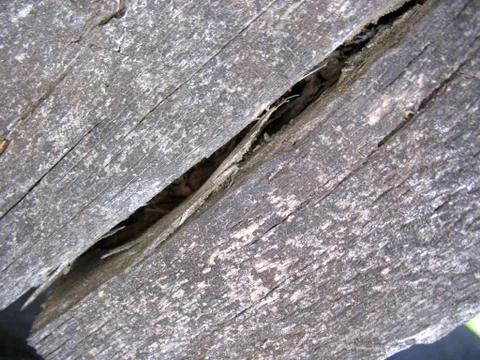 Structure of wood board Stock Photos