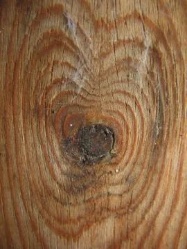 Structure of wood board Stock Photos