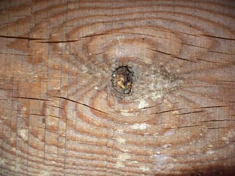 Structure of wood board Stock Photos