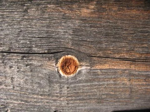 Structure of wood board Stock Photos