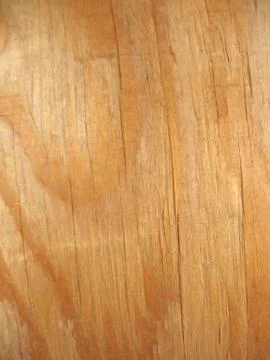 Structure of wood board Stock Photos