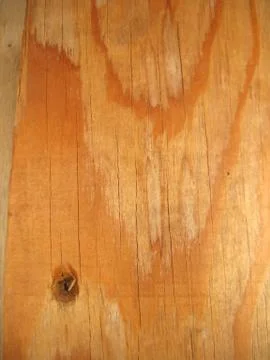 Structure of wood board Stock Photos
