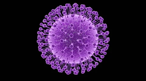 Structure of Zika virus Stock Footage 68816229