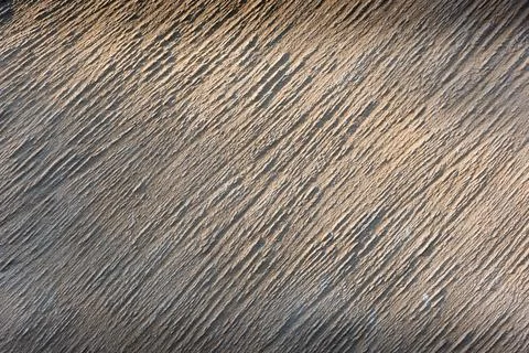Structured concrete surface with lateral incoming sunlight Stock Photos